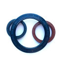 Customized Mechanical Hydraulic Tc Sc Oil Seal